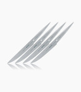 Steak knife set P16