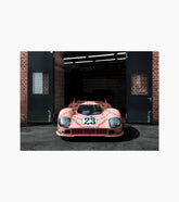 Poster set – 917 Pink Pig