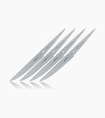 Steak knife set P16