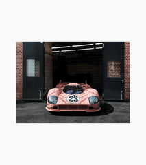 Poster set – 917 Pink Pig